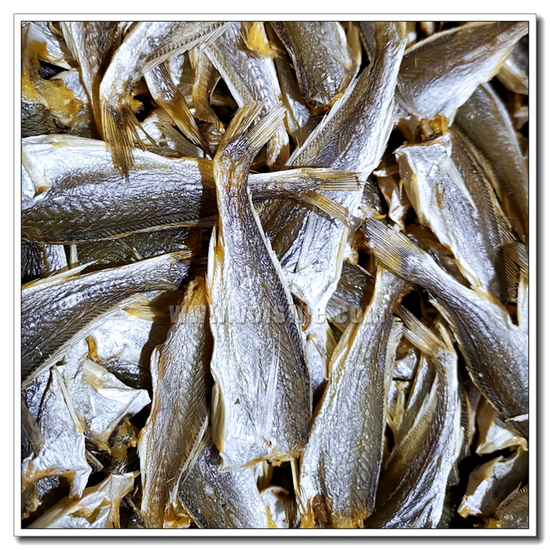 鱼干烘干机